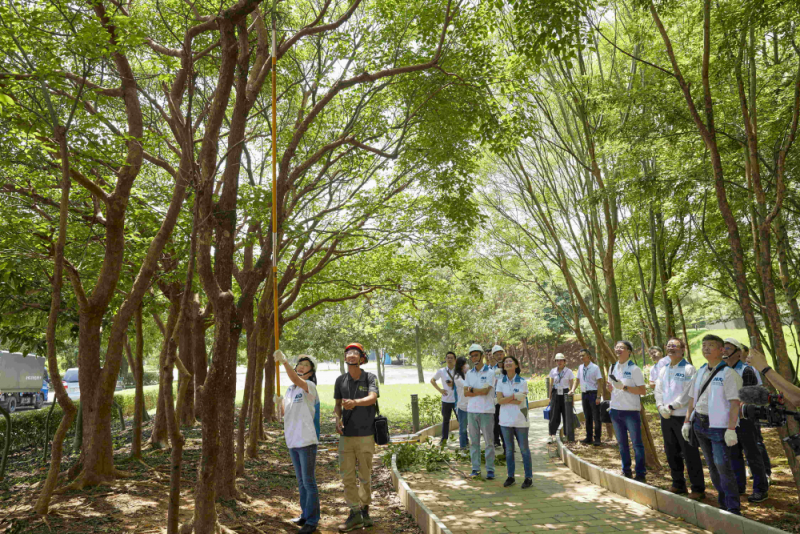 ˇ���̌�����J�R��ľ���z���Ľ�����r���W����֦����֦����