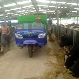 高效畜牧養殖利器 撒料車與TMR攪拌車如何顯著降低飼料成本