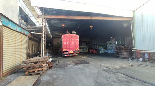 6畝地銷出3萬噸蛙料 零業務員爆單背后的“潛行者”騰飛之道